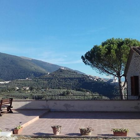 B&B Colle San Francesco อัสซิซี ภายนอก รูปภาพ