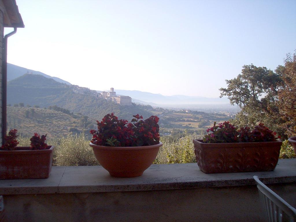 B&B Colle San Francesco อัสซิซี ภายนอก รูปภาพ