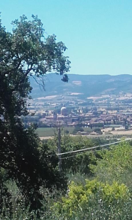 B&B Colle San Francesco อัสซิซี ภายนอก รูปภาพ