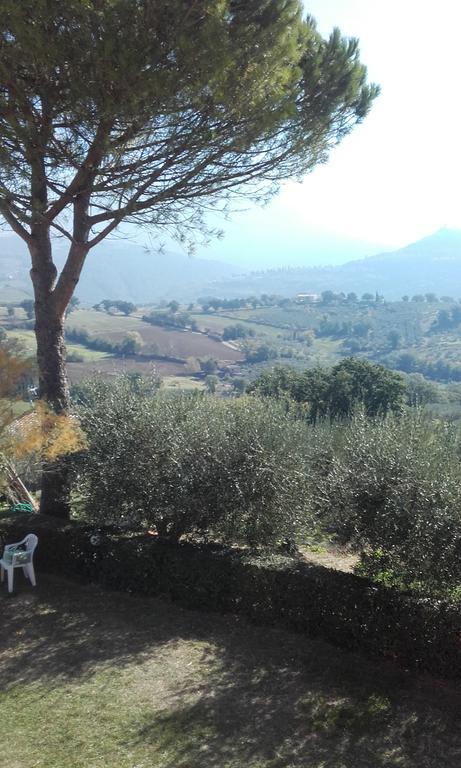 B&B Colle San Francesco อัสซิซี ภายนอก รูปภาพ